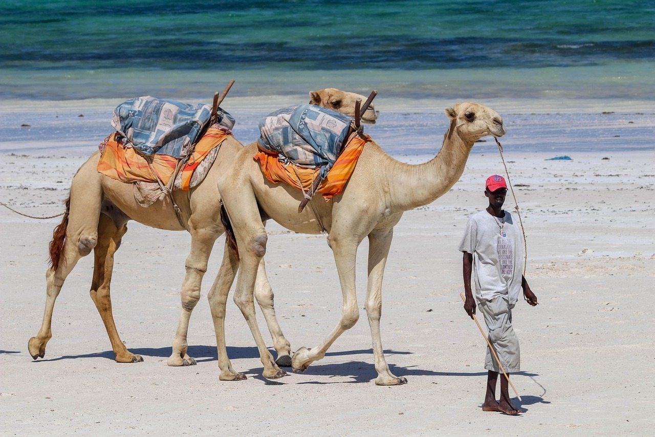 Lamu