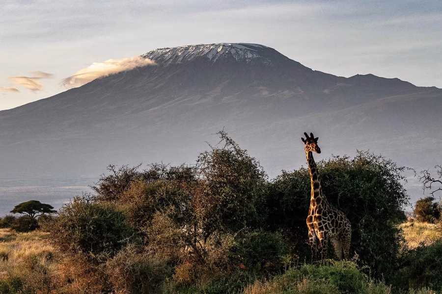 5 Day Amboseli & Tsavo West Safari
