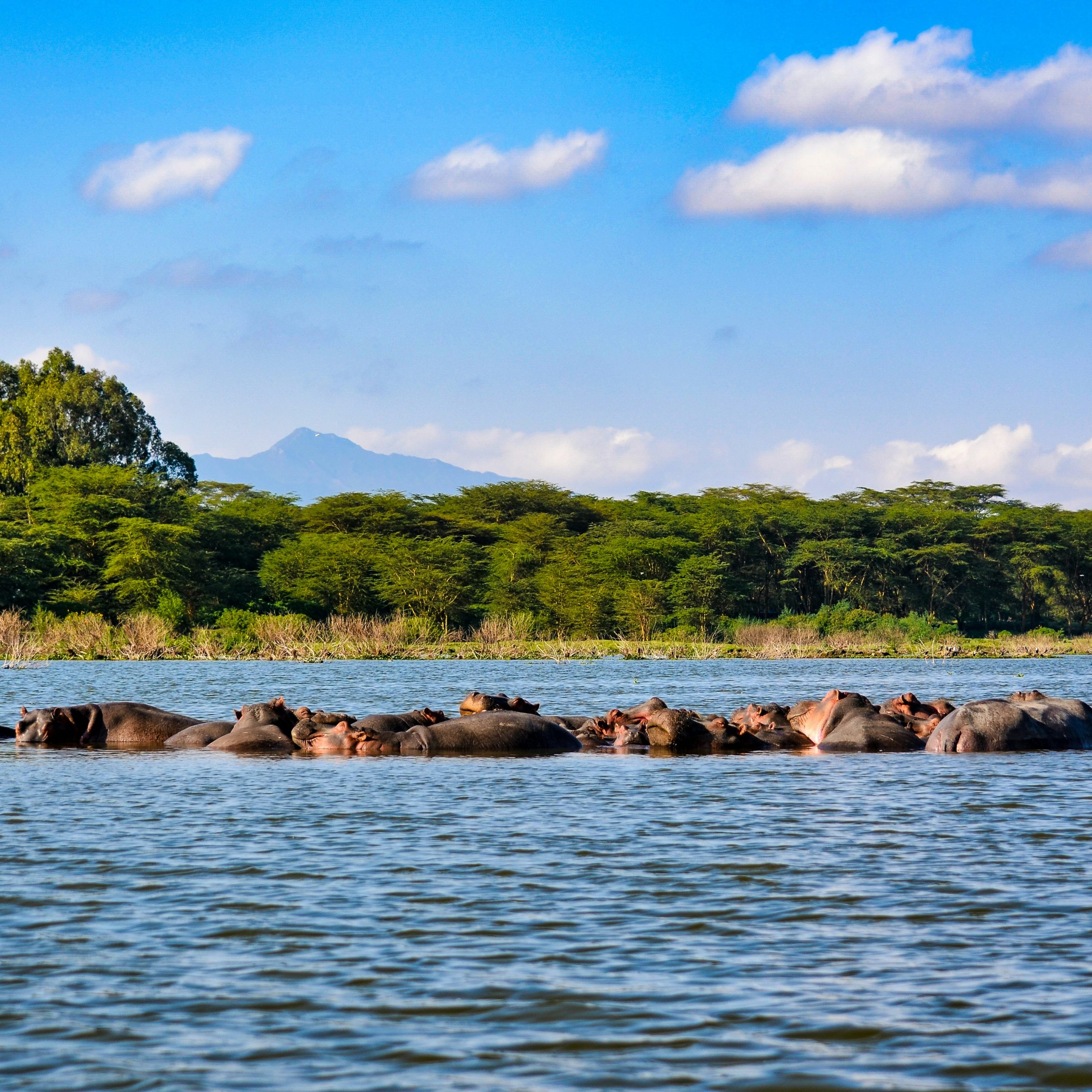 Naivasha & Nakuru