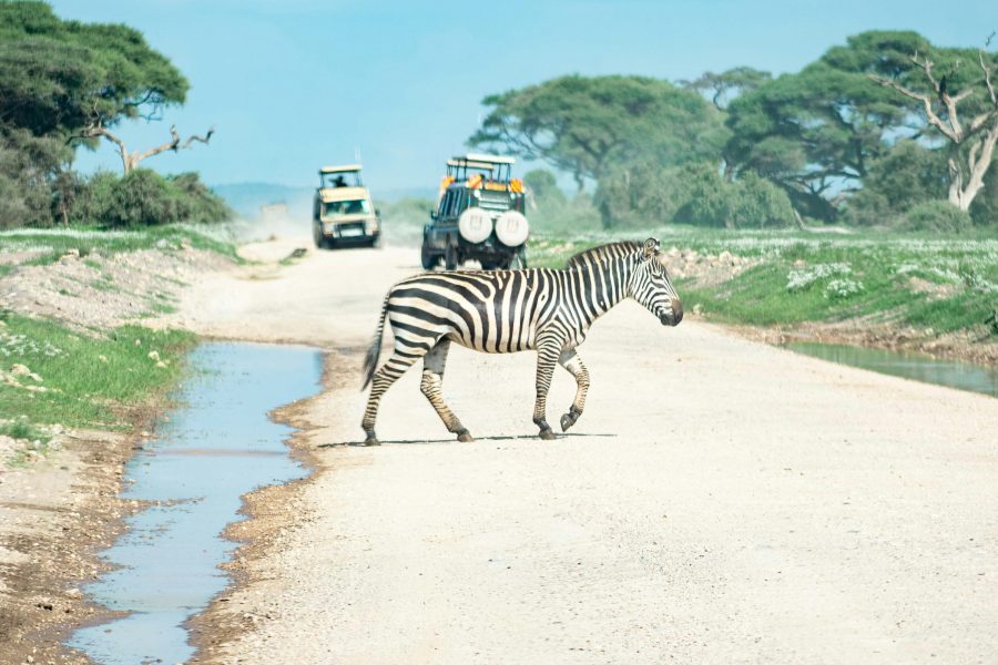 12-Day Samburu, Mara, Diani Safari (Residents) | Luxury