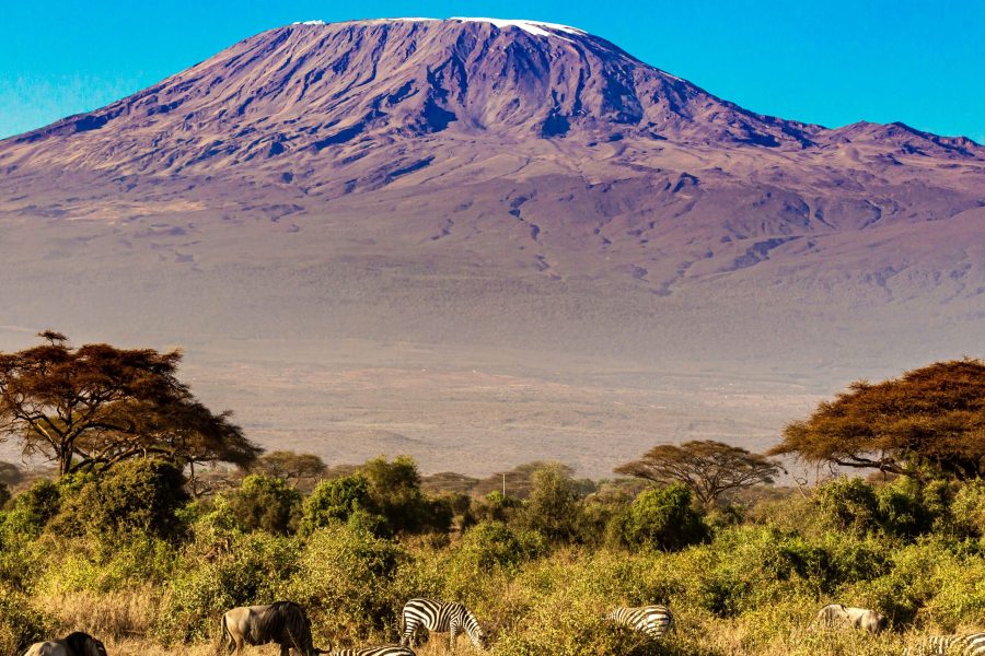 8 Day Amboseli & Tsavo, Masai Mara Escape (Residents) | Luxury